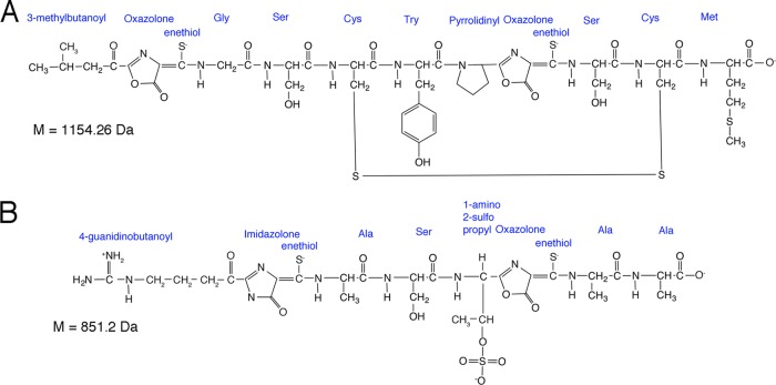 FIG 1