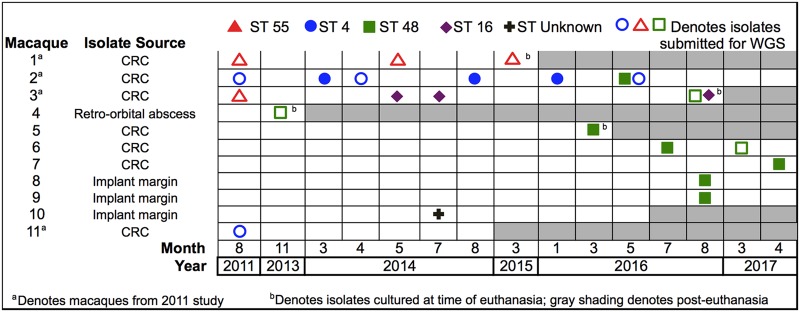 FIG 1