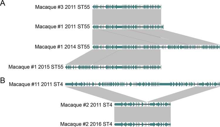 FIG 3