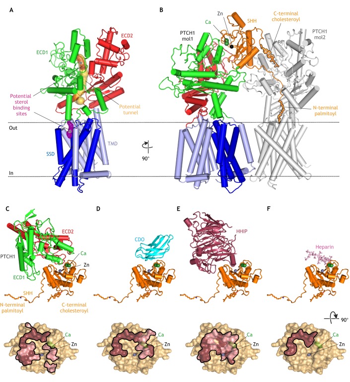 Fig. 2.