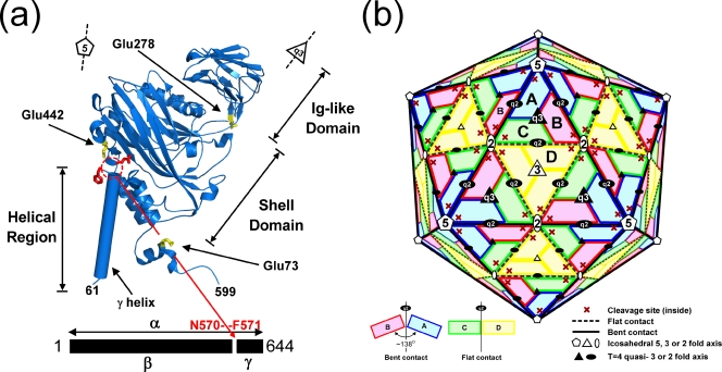 FIG. 1.