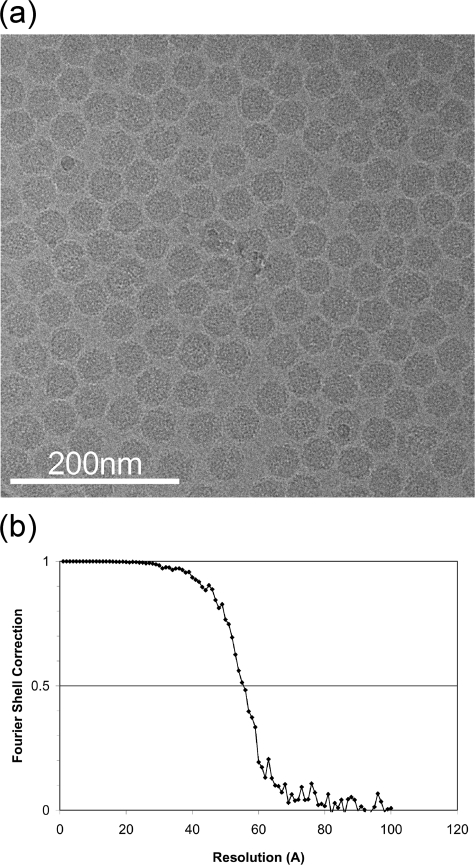 FIG. 9.