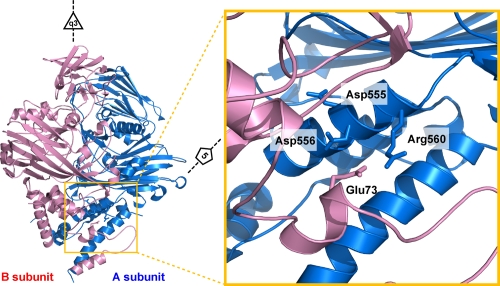 FIG. 7.