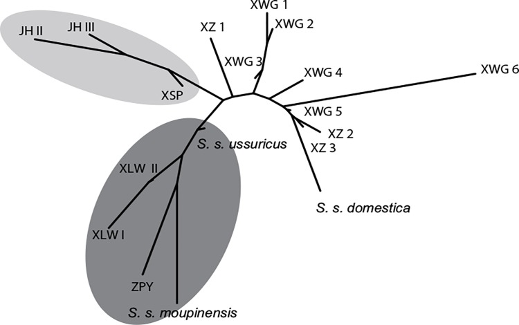 Fig 4