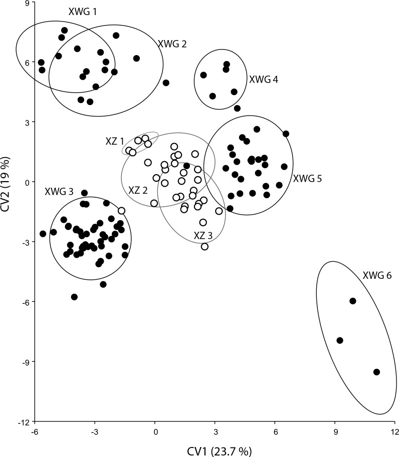 Fig 5