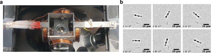 Fig. 2