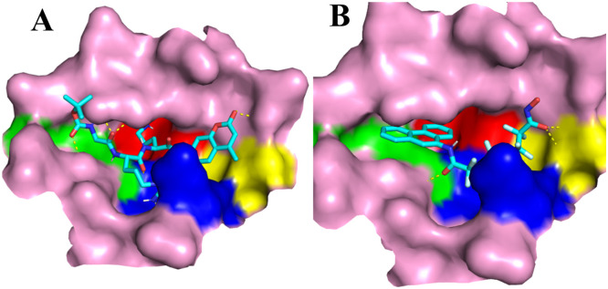 Fig. 5: