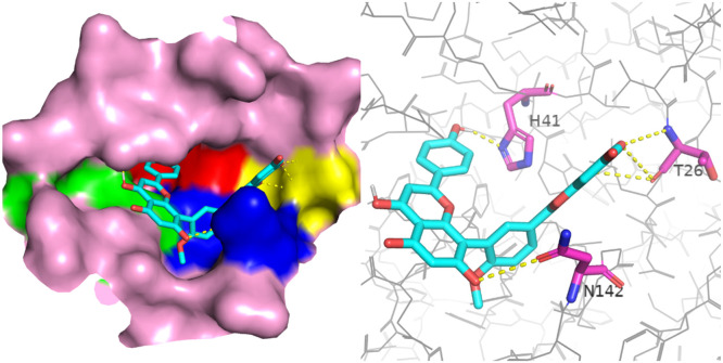 Fig. 8: