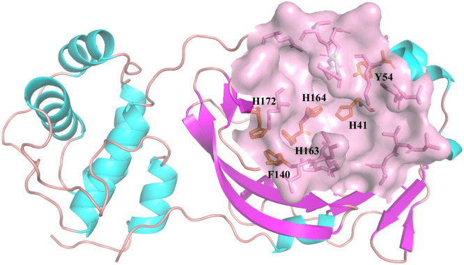 Fig. 1: