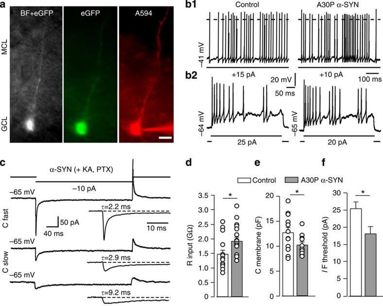 Figure 6