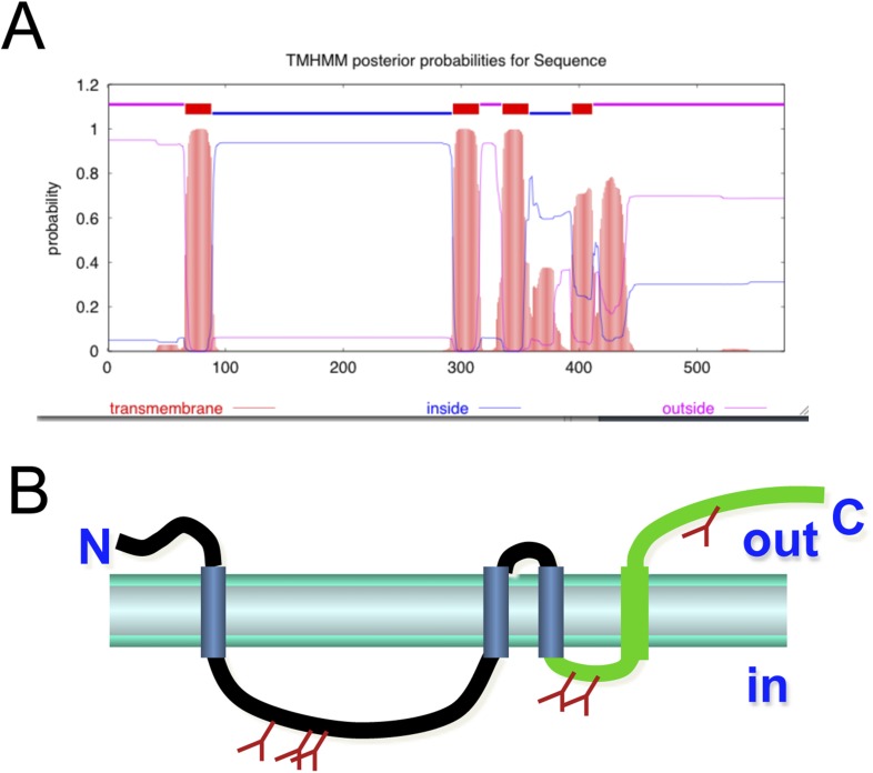 Figure 4—figure supplement 1.