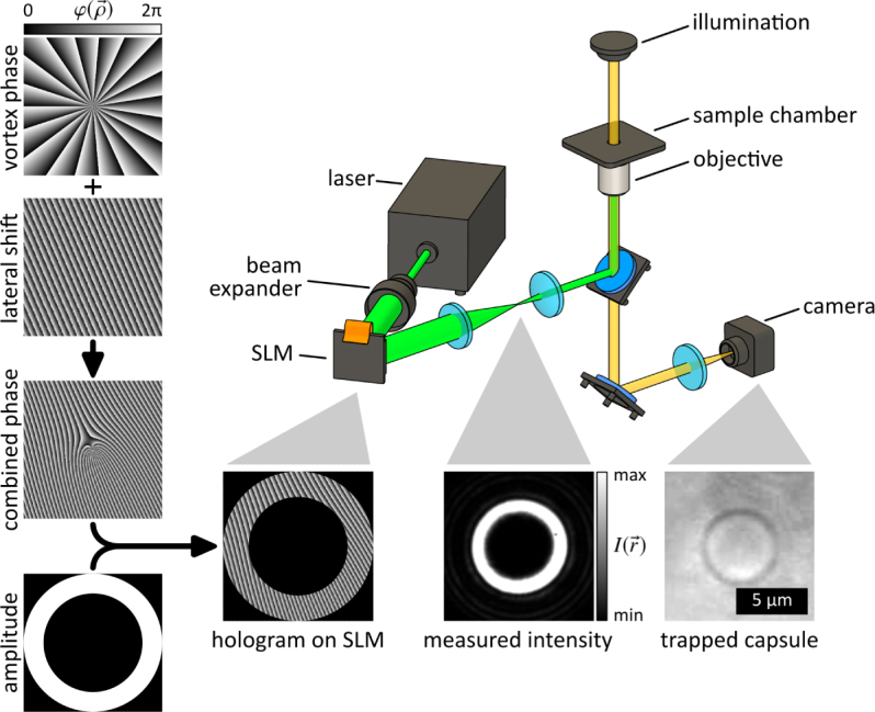 Fig. 2