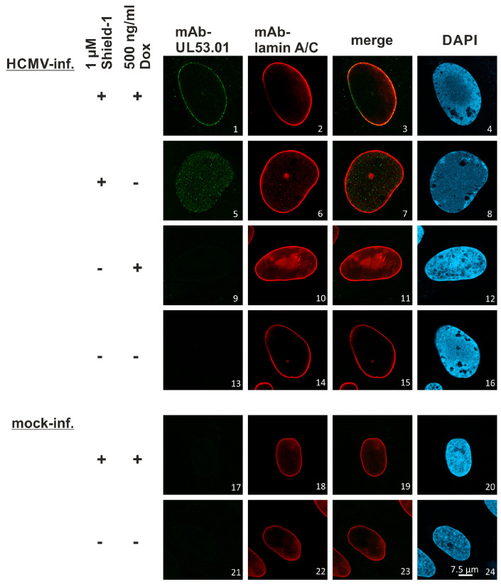 Figure 14