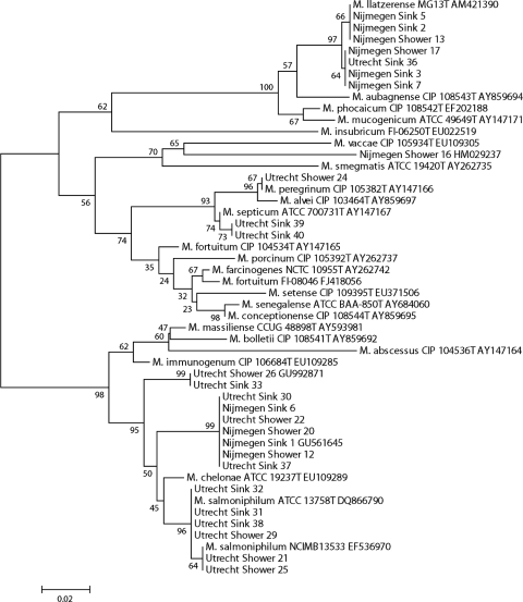 FIG. 1.