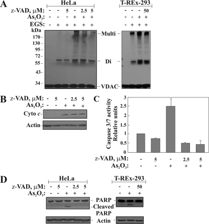 FIG. 8.