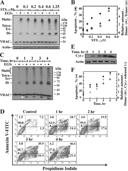 FIG. 7.