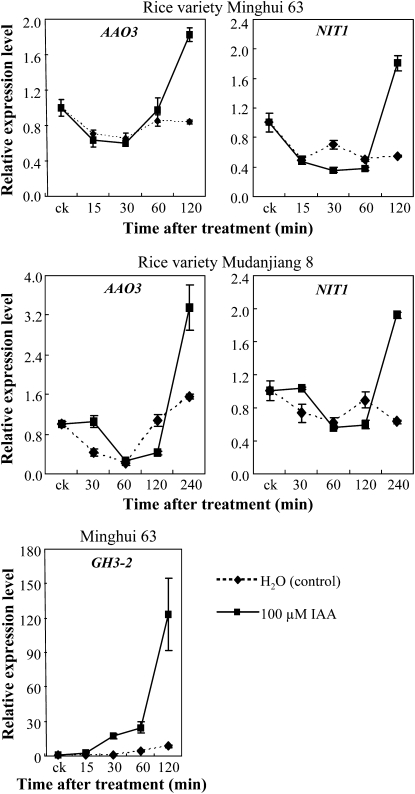 Figure 10.