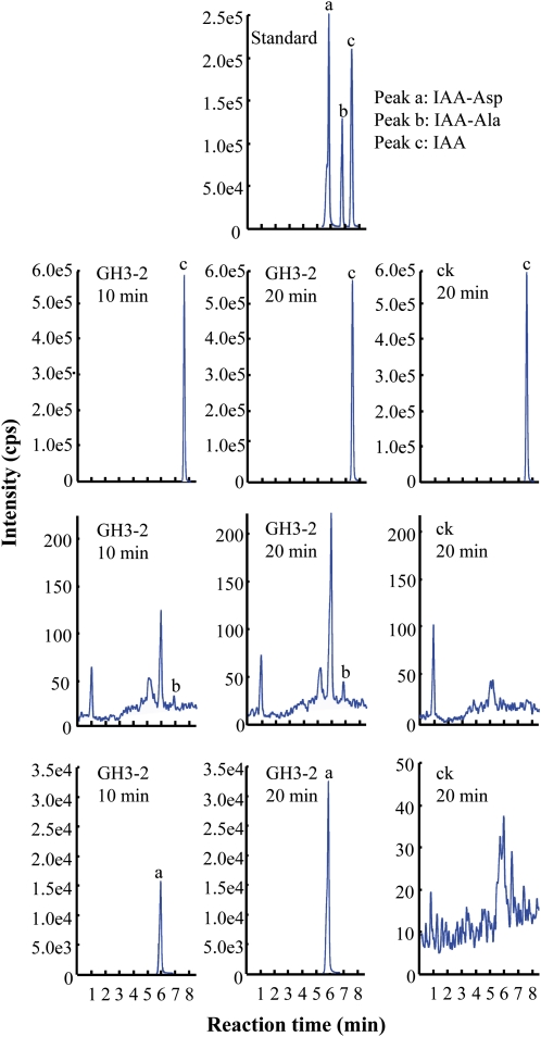 Figure 5.