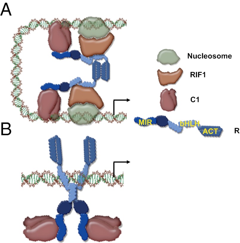 Fig. P1.