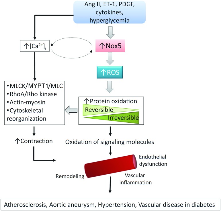 FIG. 4.