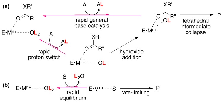 Scheme 2