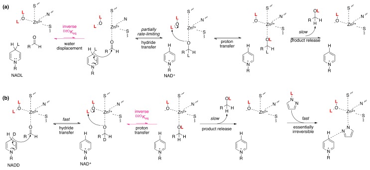 Scheme 3