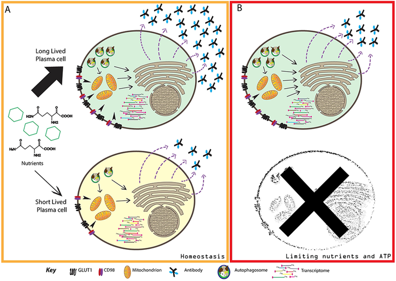 Figure 2: