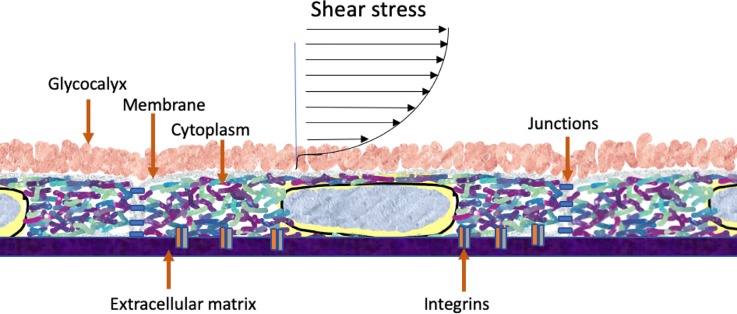 FIG. 1.