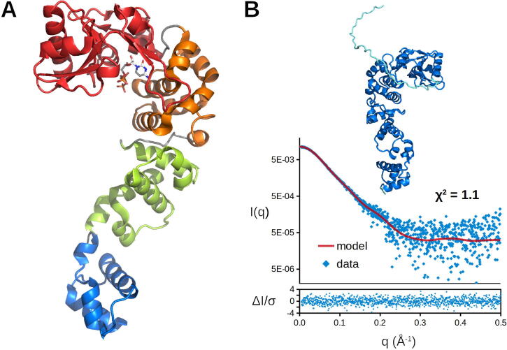 Fig. 1