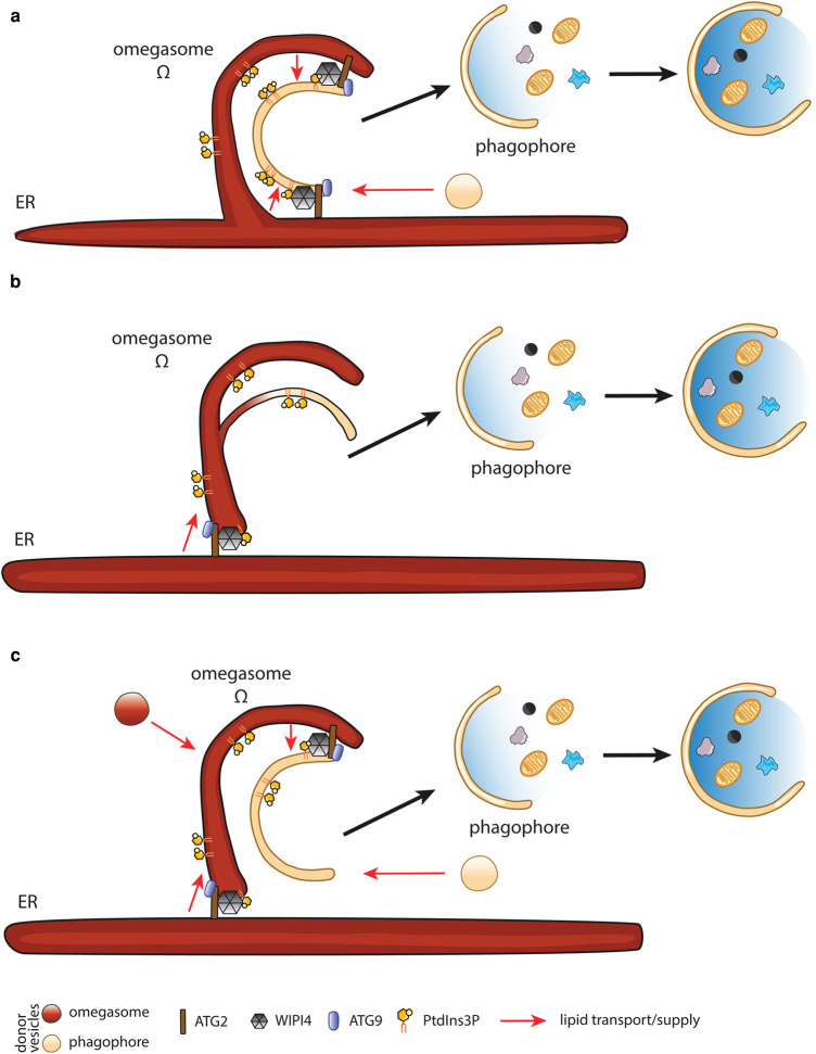 Figure 3.