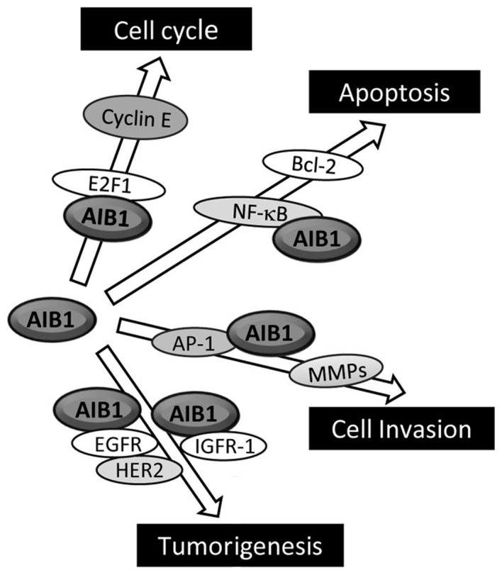 Figure 3.