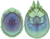 Figure 26.