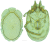Figure 45.