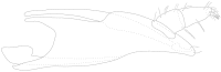 Figure 9.