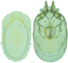 Figure 44.