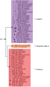Figure 12.