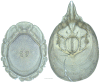 Figure 10.