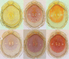 Figure 14.