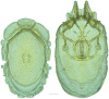 Figure 47.