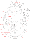 Figure 3.