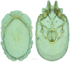 Figure 48.