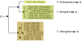 Figure 43.