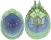 Figure 28.
