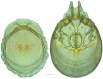 Figure 41.