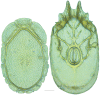 Figure 46.