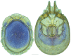 Figure 24.
