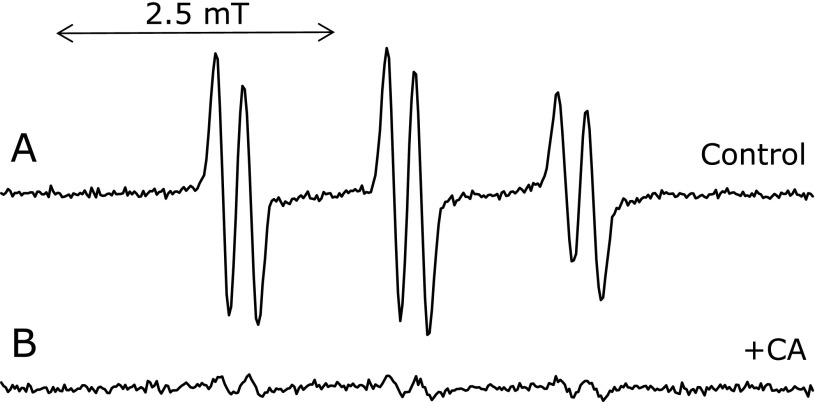 Fig. 6