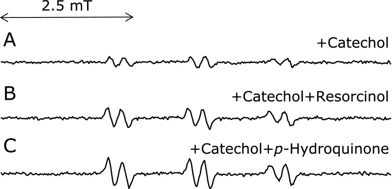 Fig. 11