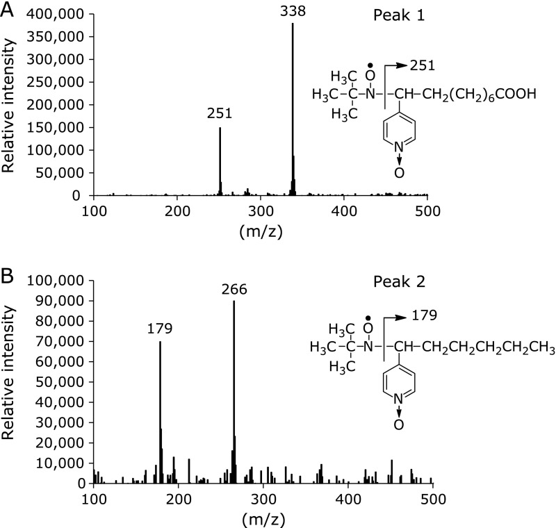 Fig. 4