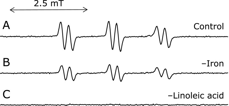 Fig. 1